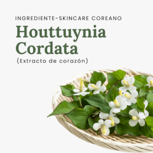 HOUTTUYNIA CORDATA